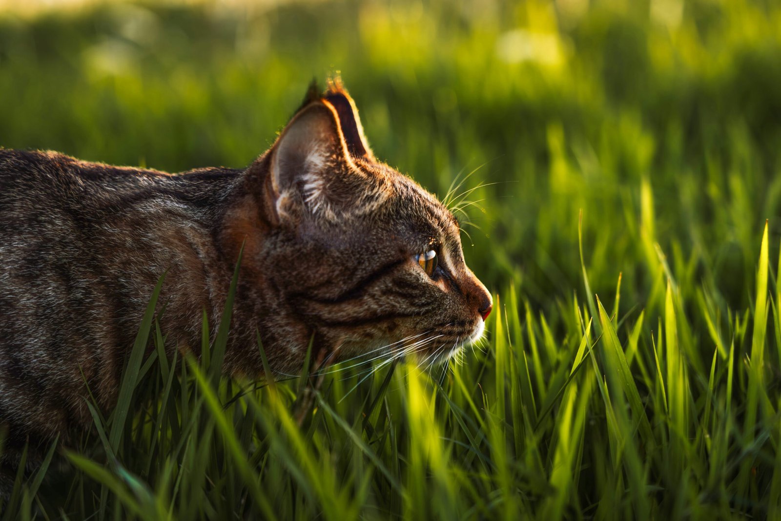 mr-han-f2Gc1j7c0ko-unsplash